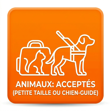 petits animaux acceptés avec harnais Icône orange avec un chien et un chat, indiquant l'acceptation des animaux de petite taille.